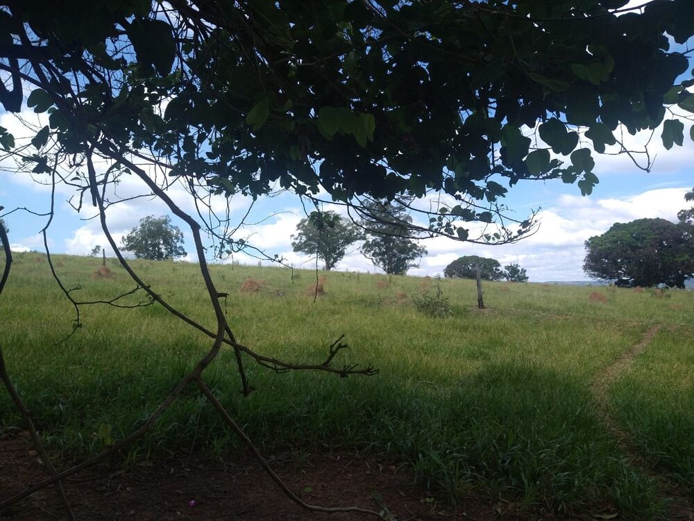 Terreno, 89876 m² - Foto 11