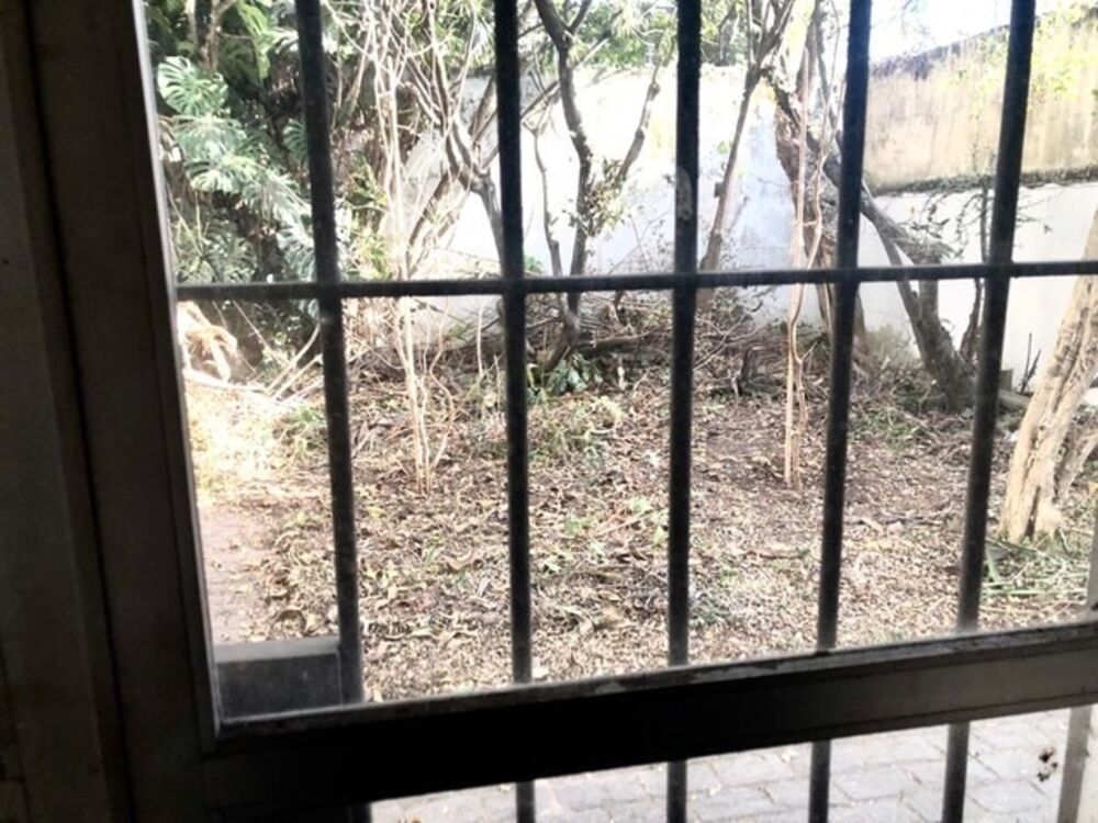 Casa, 4 quartos, 350 m² - Foto 2
