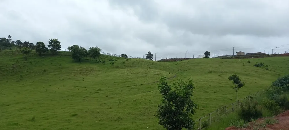Terreno - Foto 1