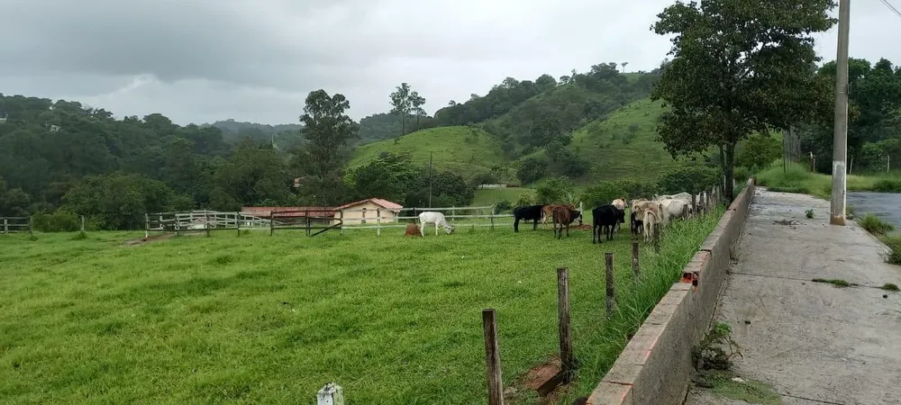Terreno - Foto 2