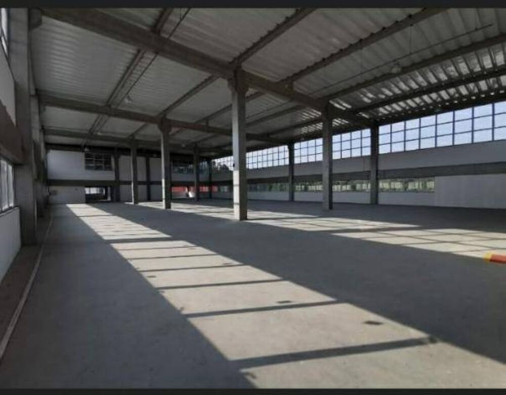 Depósito-Galpão-Armazém para alugar, 5187m² - Foto 4