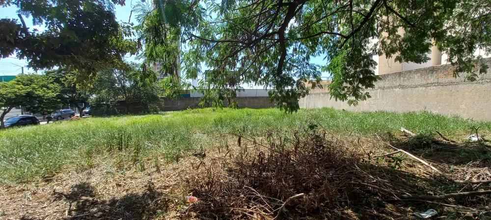 Terreno, 972 m² - Foto 3