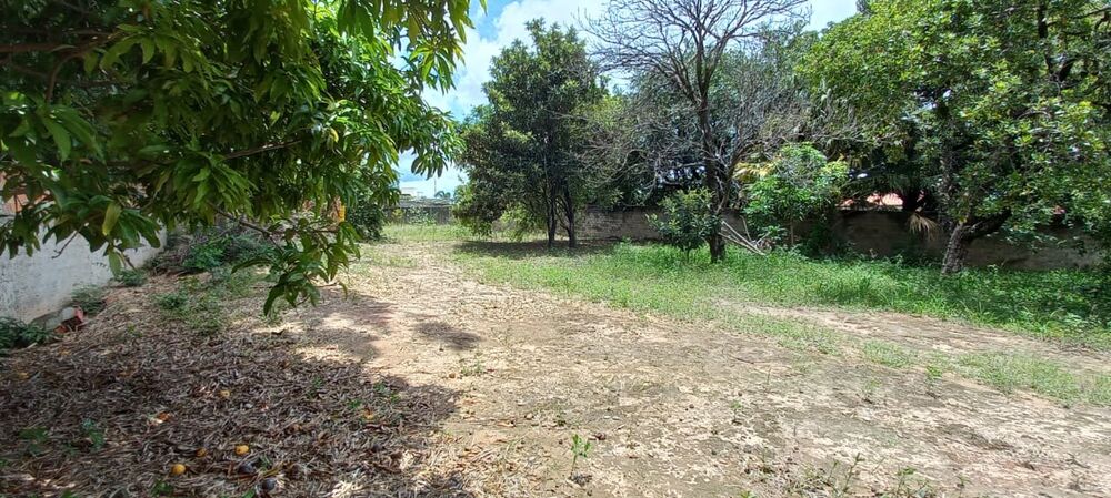 Terreno, 1576 m² - Foto 7