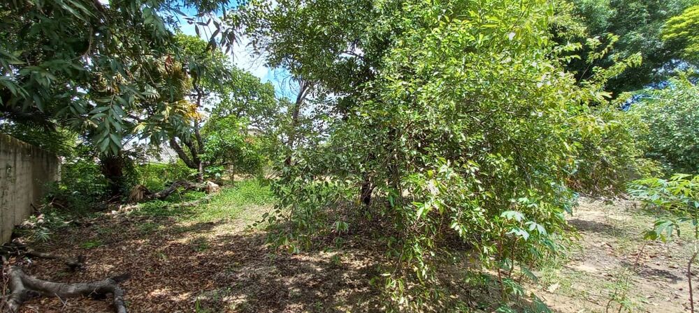 Terreno, 1576 m² - Foto 6