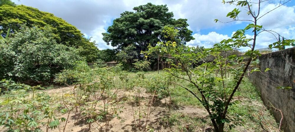 Terreno, 1576 m² - Foto 10