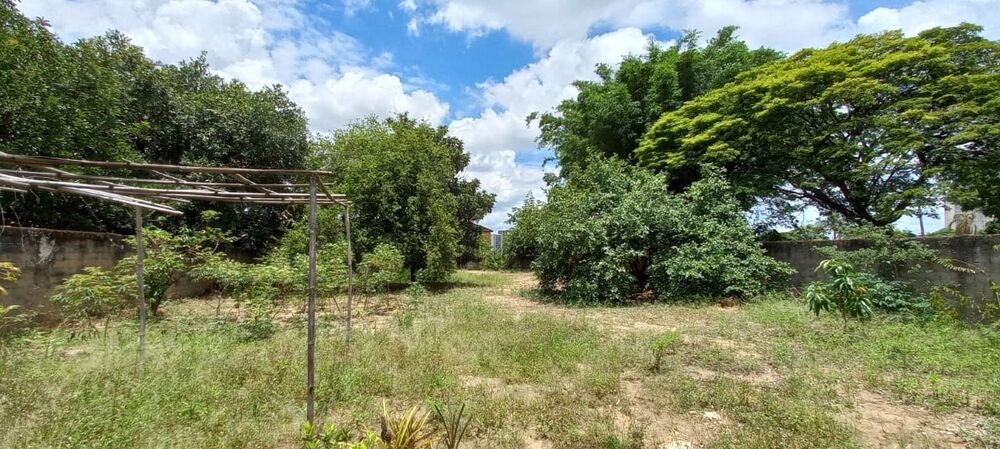 Terreno, 1576 m² - Foto 9