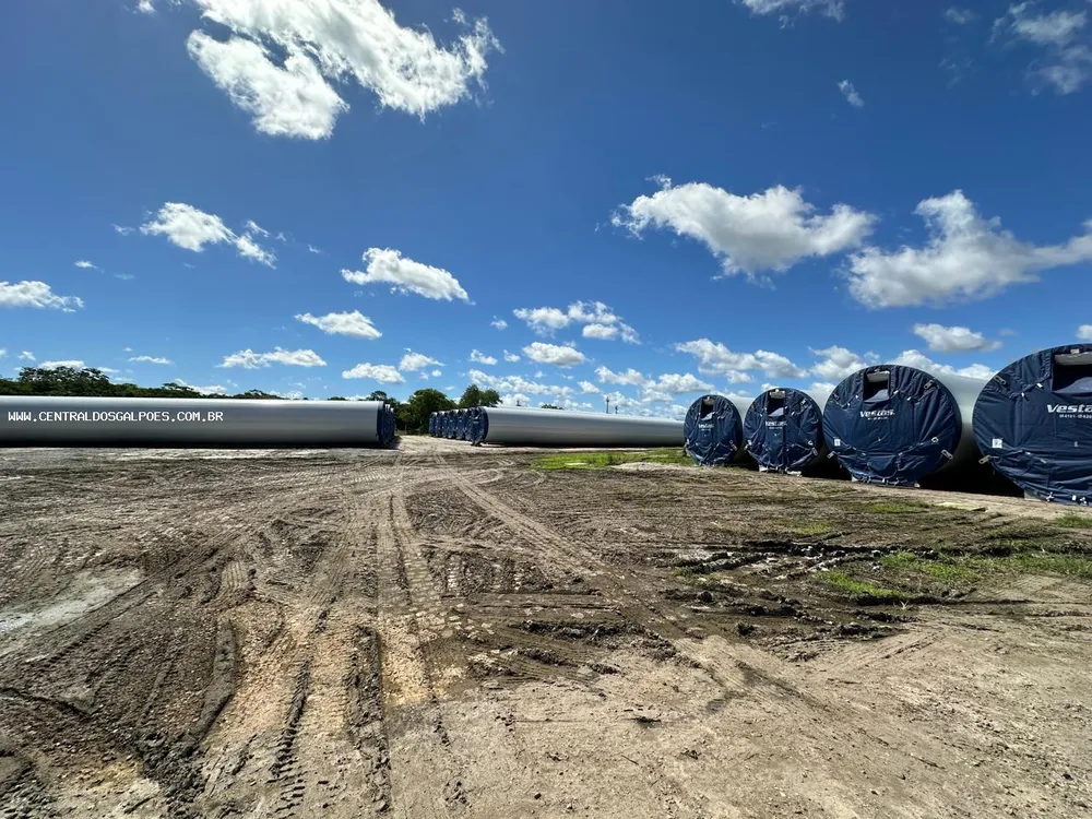 Terreno, 4 hectares - Foto 1