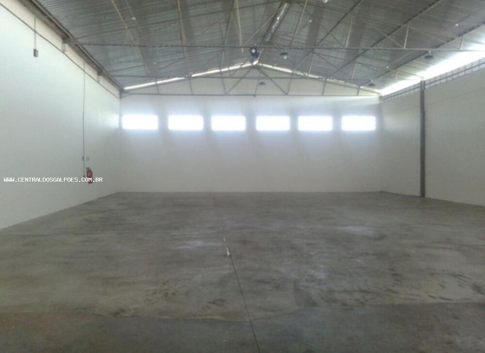 Depósito-Galpão, 550 m² - Foto 3
