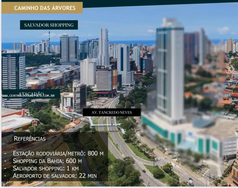 Prédio Inteiro - Foto 5