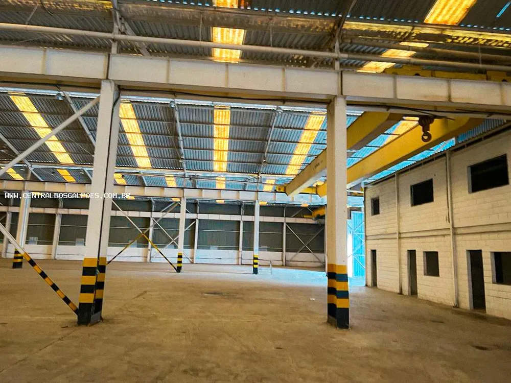 Depósito-Galpão, 6600 m² - Foto 4
