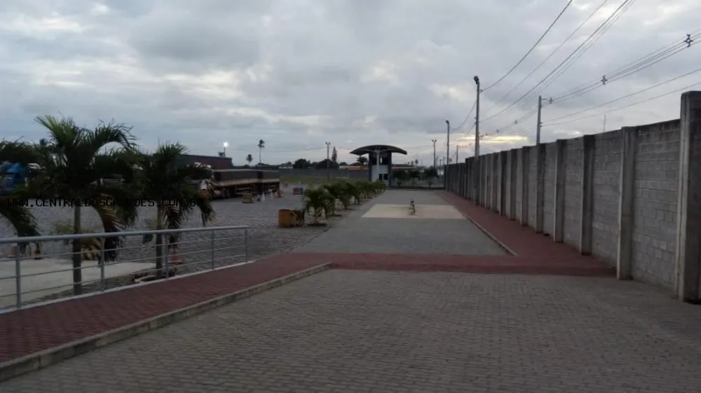 Depósito-Galpão, 5000 m² - Foto 7
