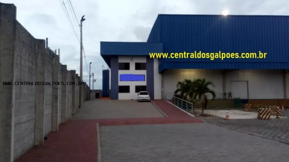 Depósito-Galpão-Armazém para alugar, 5000m² - Foto 2