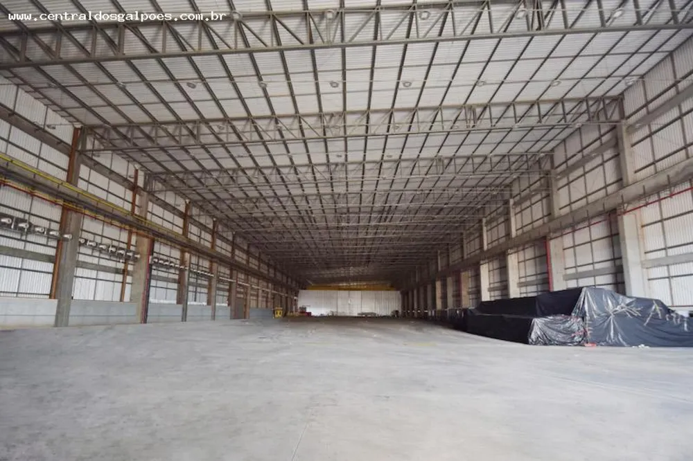Depósito-Galpão, 40000 m² - Foto 3