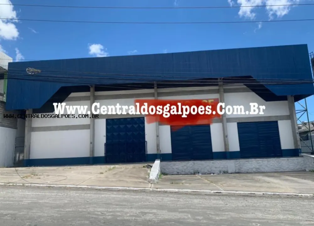 Depósito-Galpão, 1000 m² - Foto 1