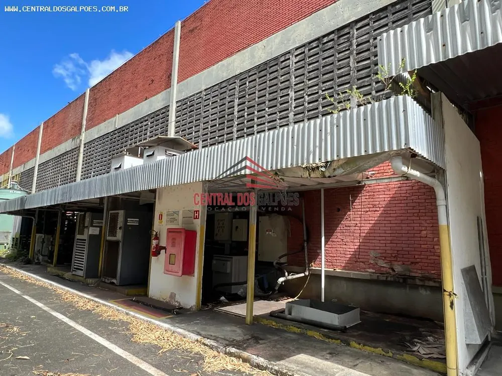 Depósito-Galpão, 4200 m² - Foto 11