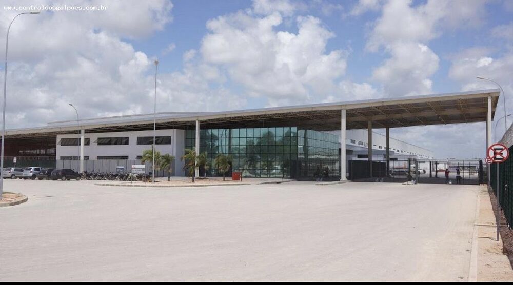 Depósito-Galpão, 1100 m² - Foto 5