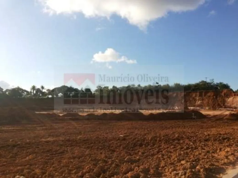 Terreno, 3 hectares - Foto 1