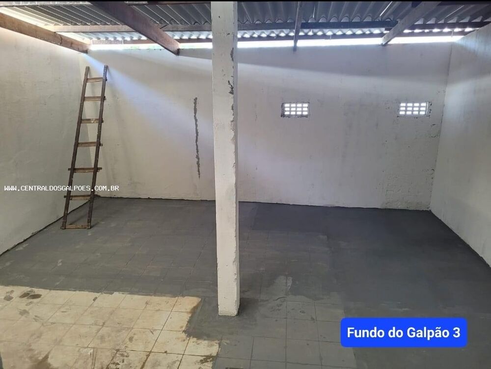 Depósito-Galpão - Foto 3