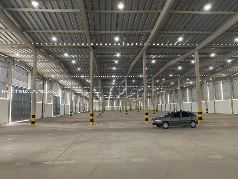 Depósito-Galpão-Armazém para alugar, 8400m² - Foto 4