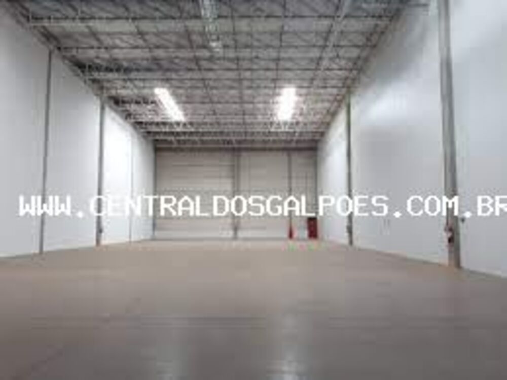 Depósito-Galpão, 2000 m² - Foto 3