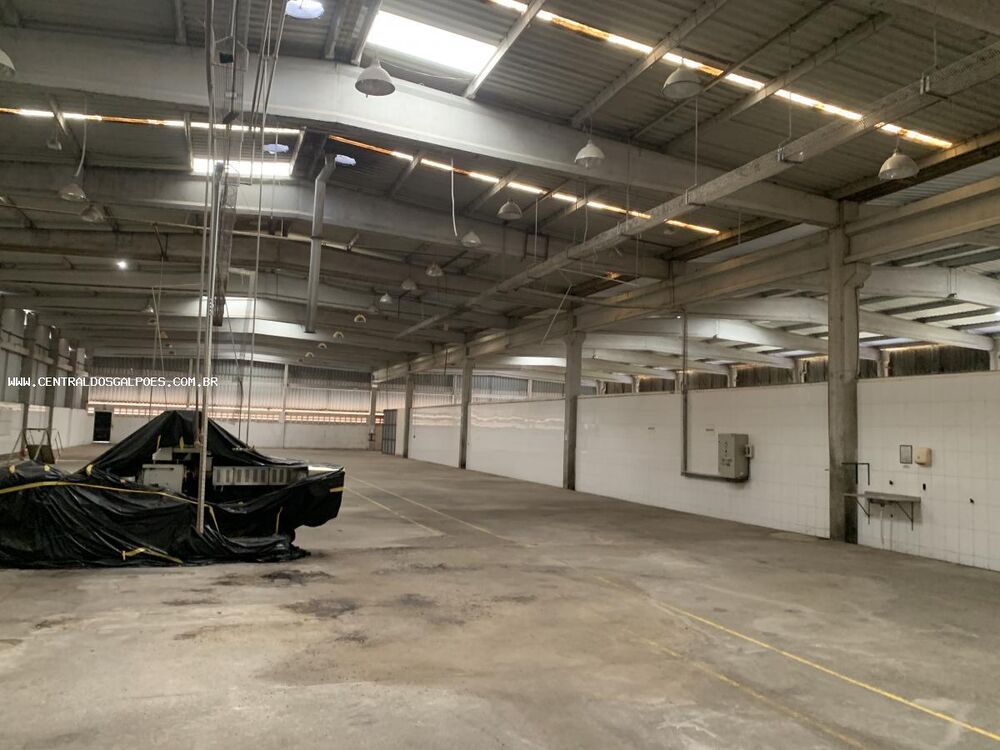 Depósito-Galpão, 3800 m² - Foto 6