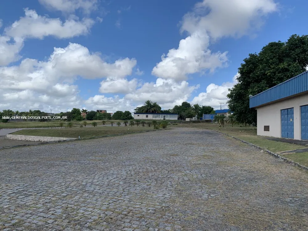 Depósito-Galpão, 3800 m² - Foto 4