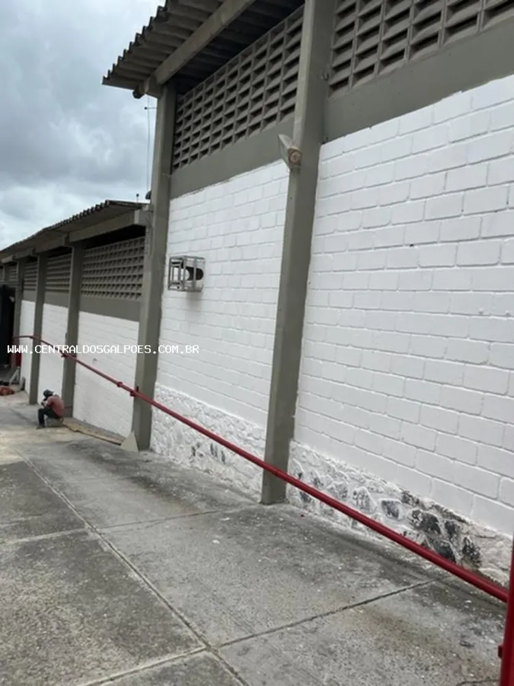 Depósito-Galpão, 1680 m² - Foto 3