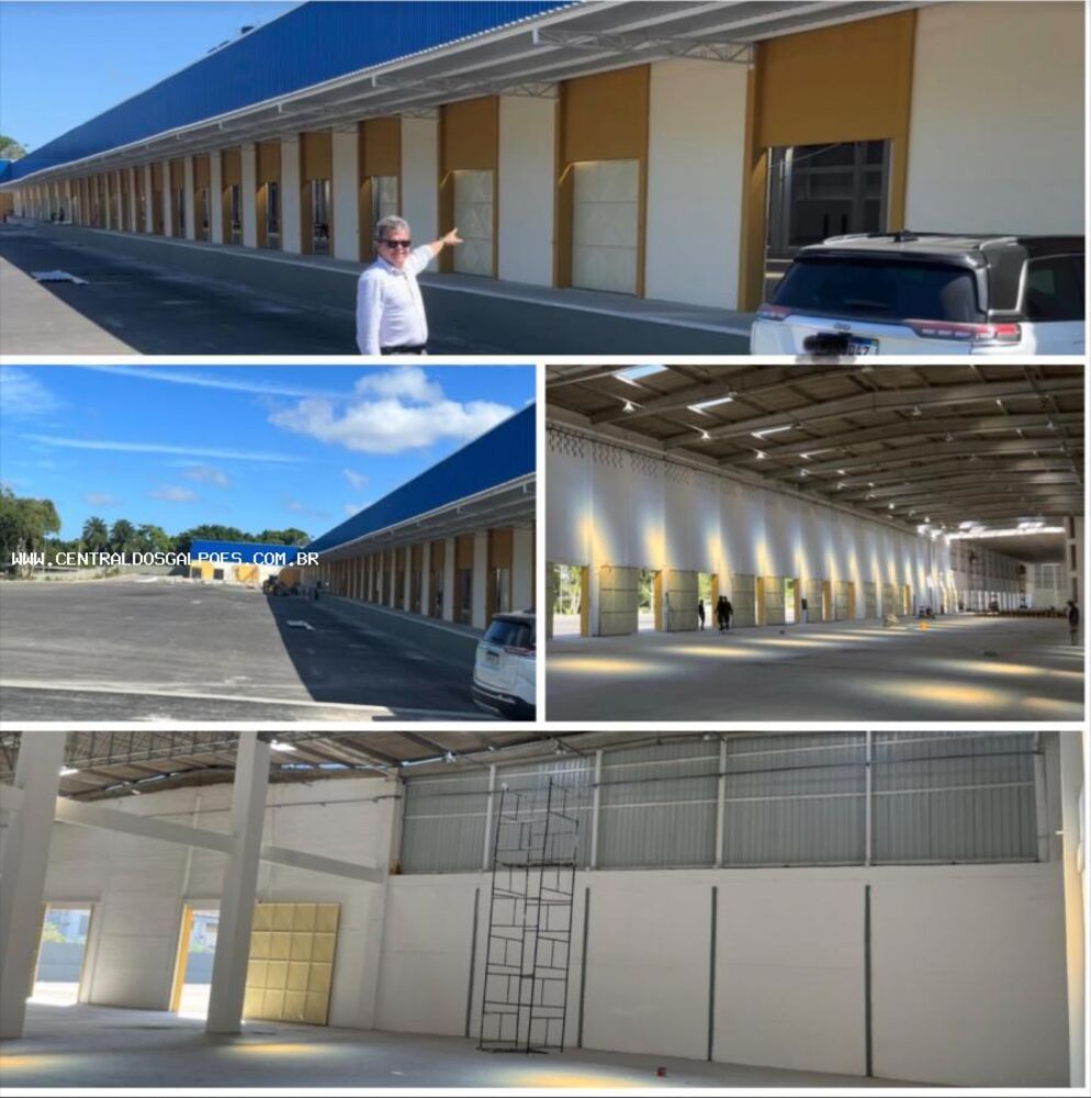 Depósito-Galpão, 16000 m² - Foto 3