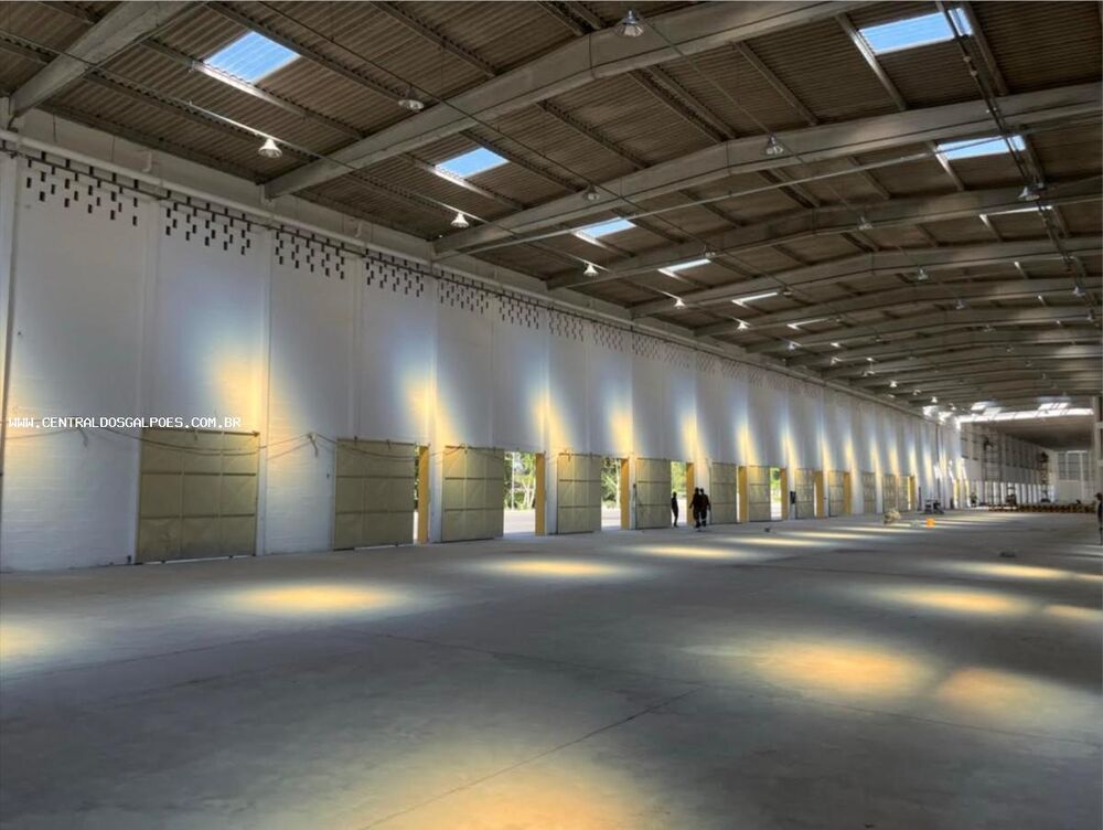 Depósito-Galpão, 16000 m² - Foto 4