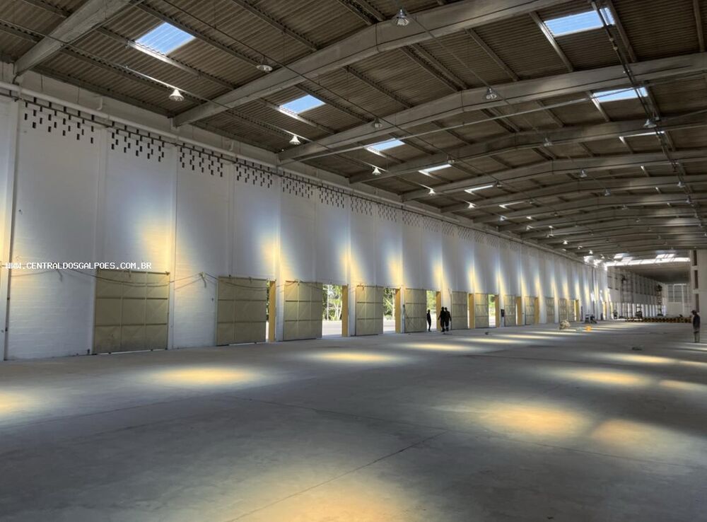 Depósito-Galpão, 16000 m² - Foto 1