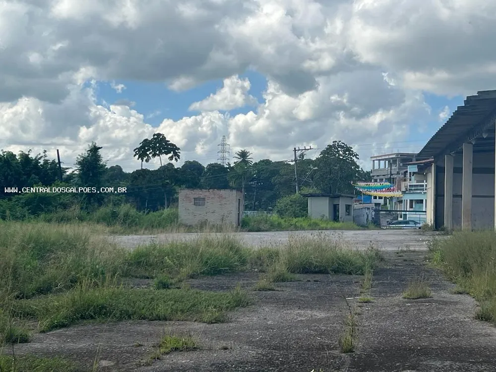 Terreno, 2 hectares - Foto 6