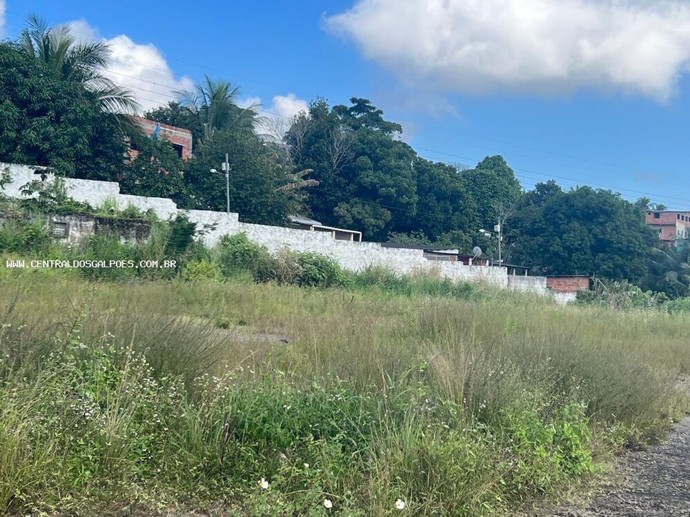 Terreno, 2 hectares - Foto 3