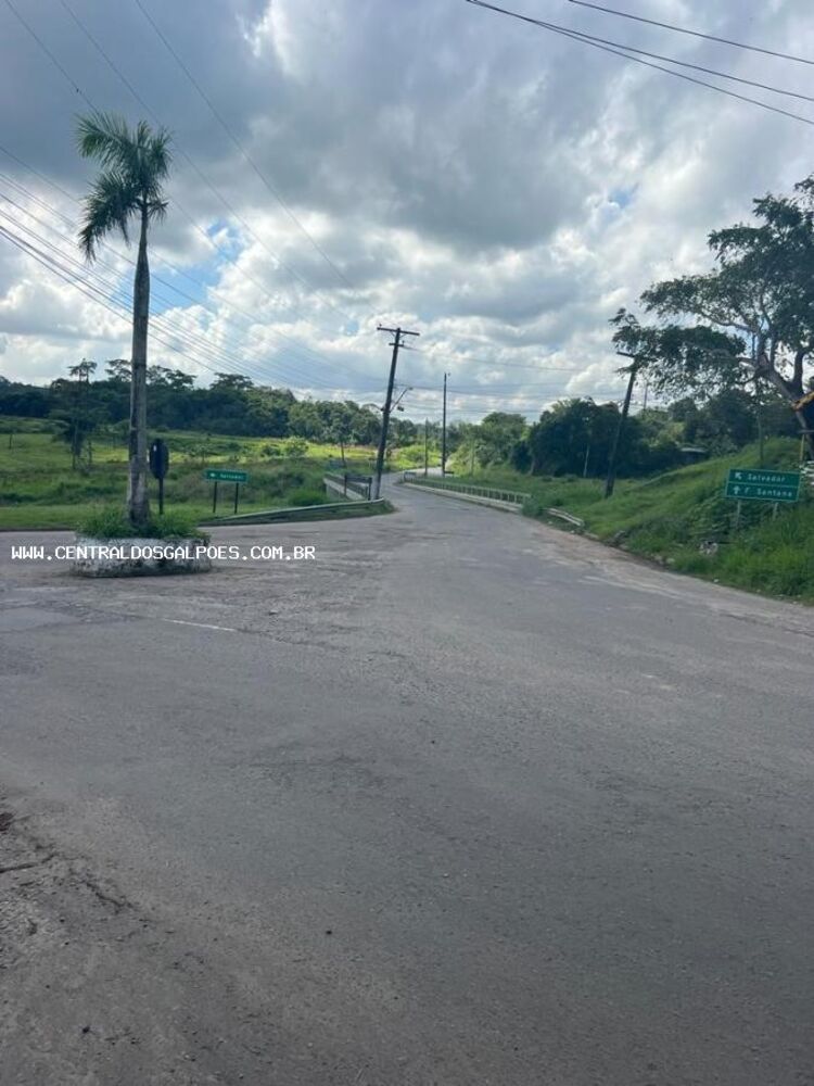 Terreno, 2 hectares - Foto 2