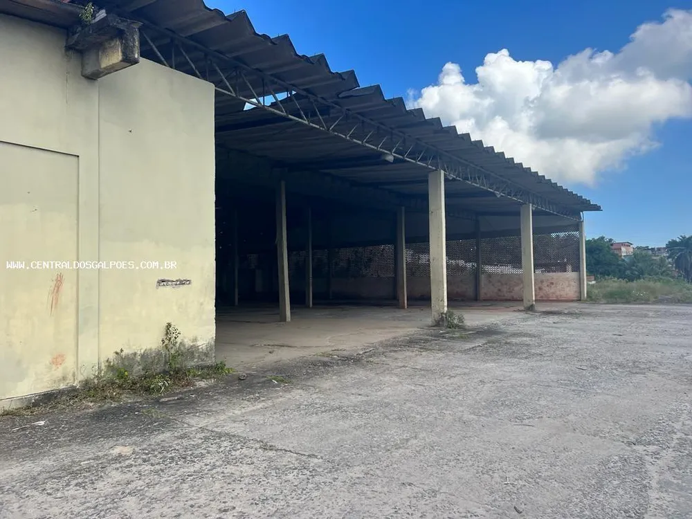 Terreno, 2 hectares - Foto 7