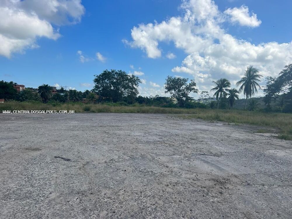 Terreno, 2 hectares - Foto 1