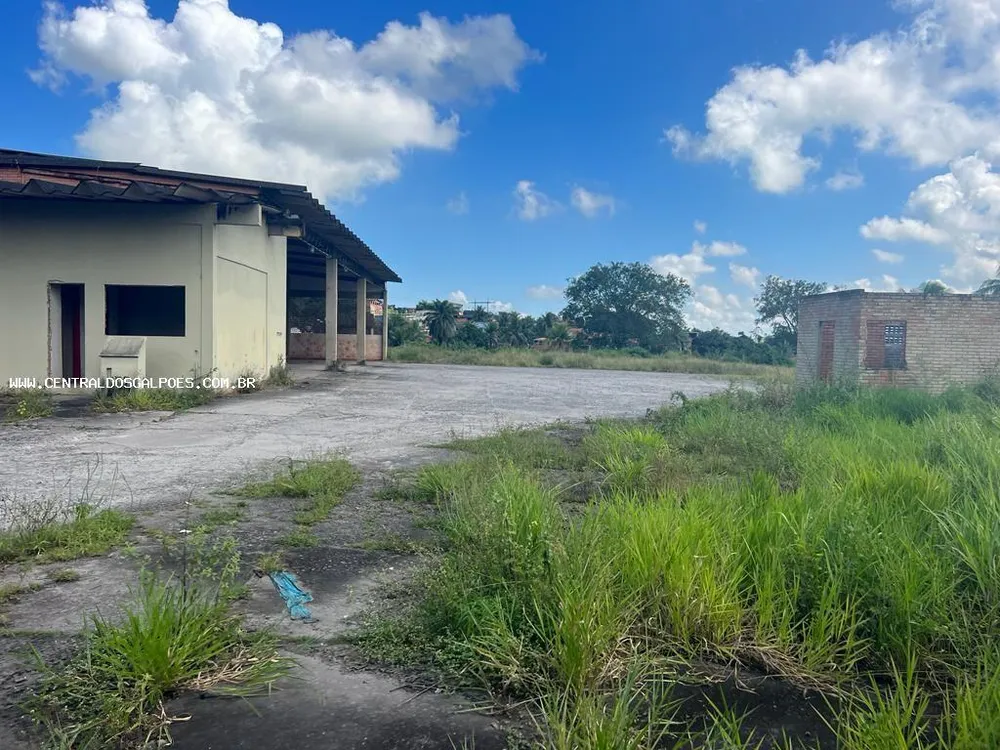 Terreno, 2 hectares - Foto 8