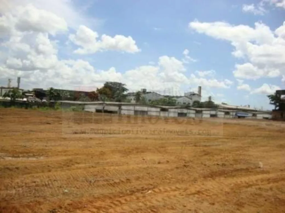 Terreno, 12000 m² - Foto 5