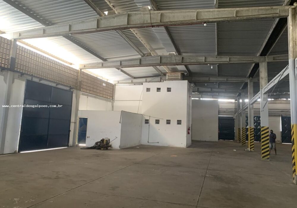 Depósito-Galpão, 1000 m² - Foto 4