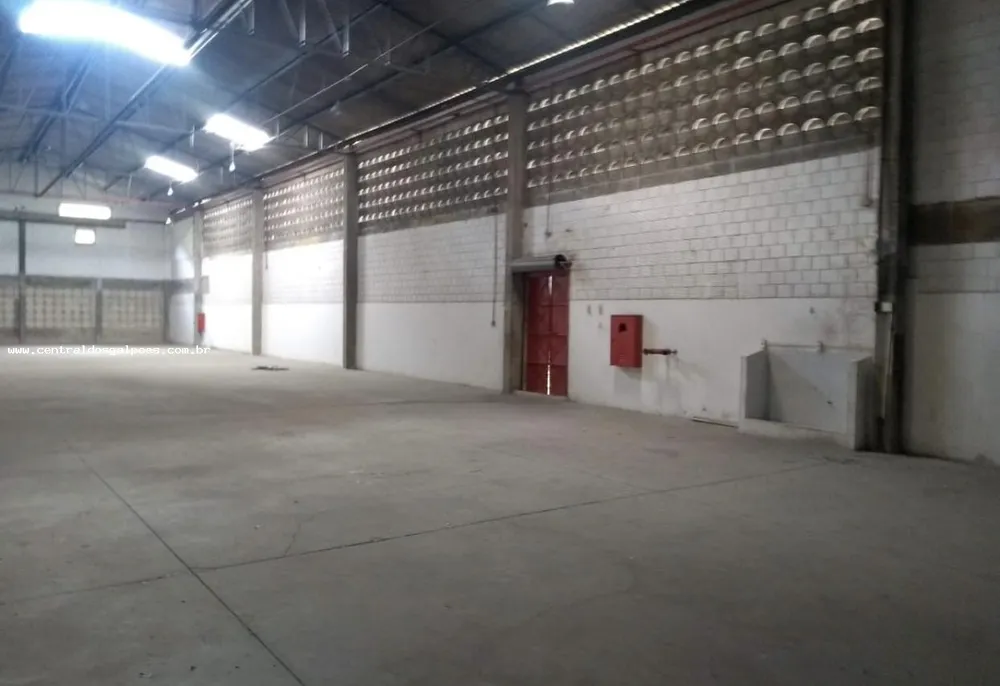 Depósito-Galpão, 1000 m² - Foto 3