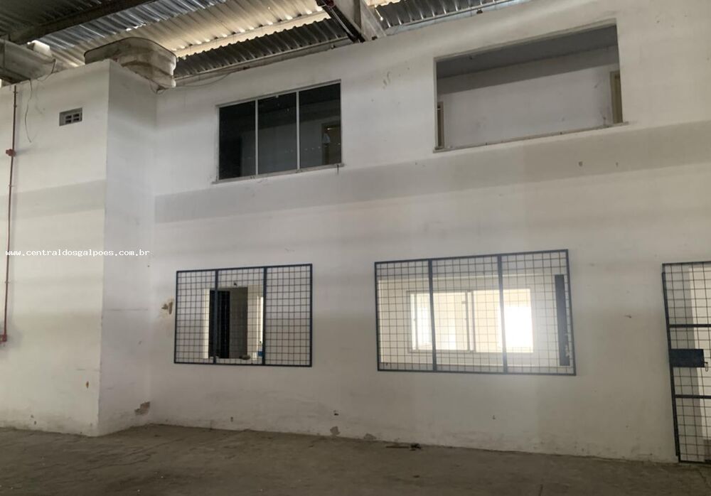 Depósito-Galpão, 1000 m² - Foto 3