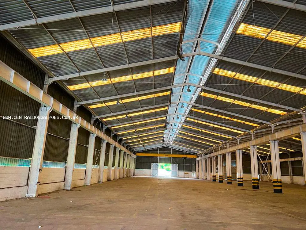 Depósito-Galpão, 6600 m² - Foto 5