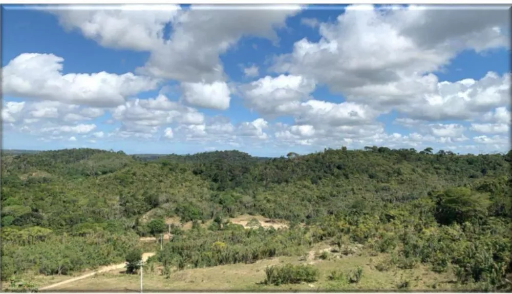 Loteamento e Condomínio à venda, 500000m² - Foto 2