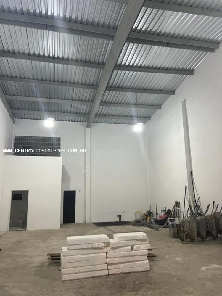 Depósito-Galpão - Foto 3