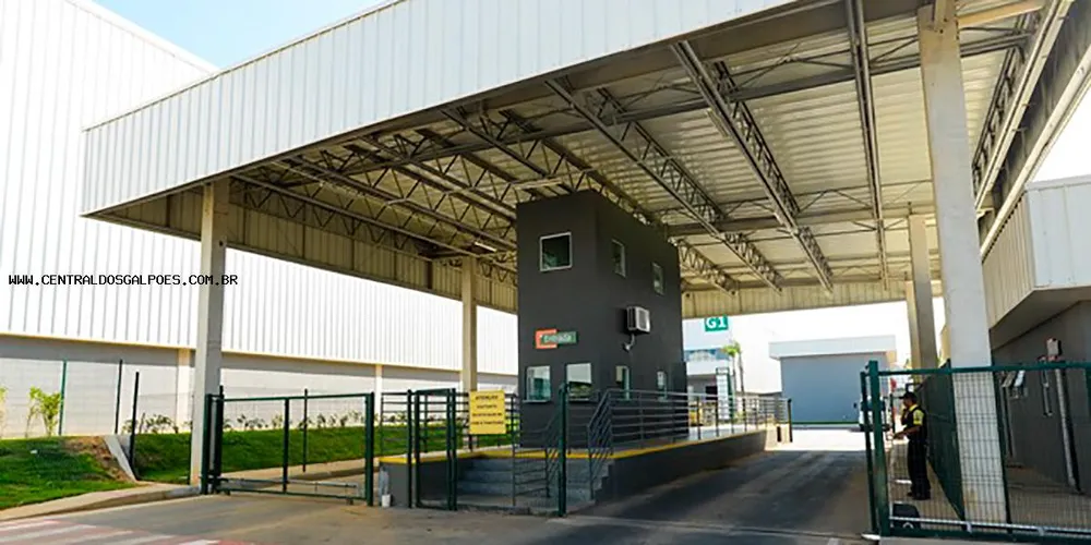 Depósito-Galpão, 2000 m² - Foto 5