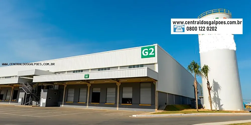 Depósito-Galpão, 2000 m² - Foto 2