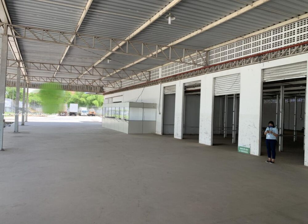 Depósito-Galpão, 1600 m² - Foto 5