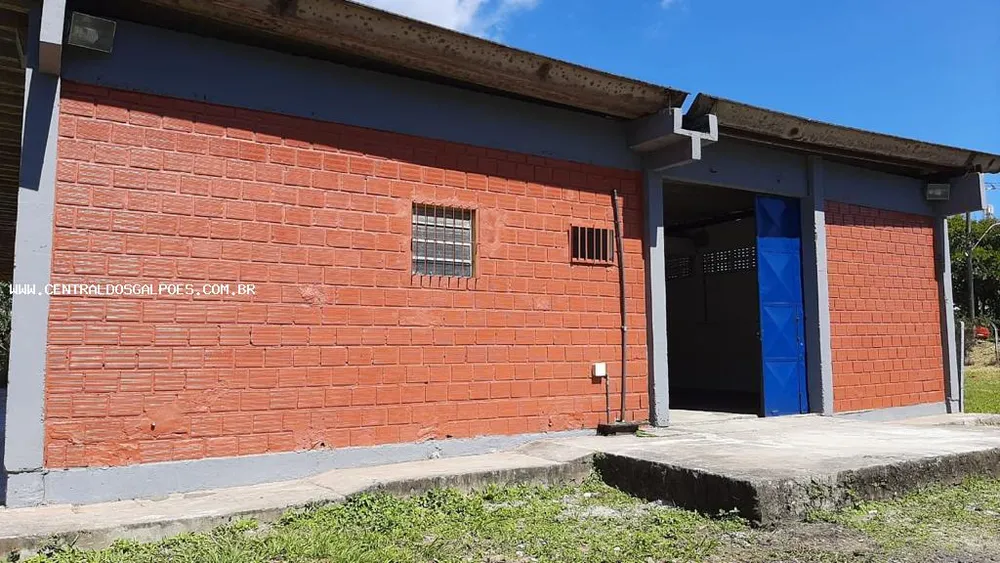 Depósito-Galpão, 400 m² - Foto 7