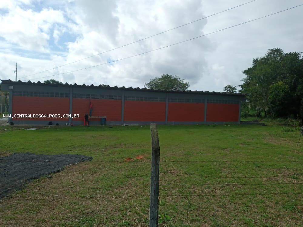 Depósito-Galpão, 400 m² - Foto 3