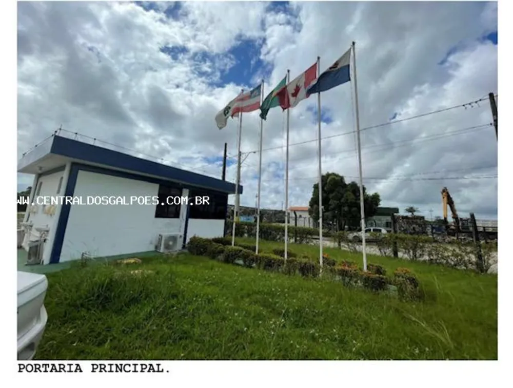 Depósito-Galpão, 4657 m² - Foto 7