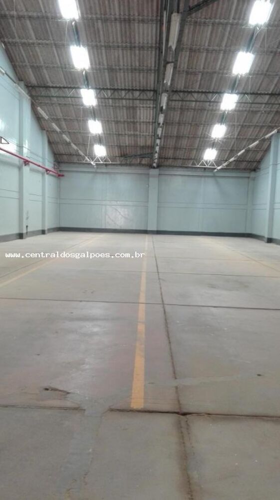 Depósito-Galpão, 1000 m² - Foto 3